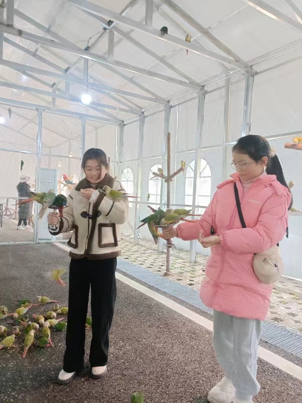 平昌县:白衣古镇持续释放春节文旅消费动能(图3) 微信图片_20240223191100.jpg